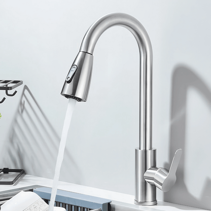 Versa Küchenarmatur – Moderner Wasserhahn mit ausziehbarem Sprühkopf für Warm- und Kaltwasser